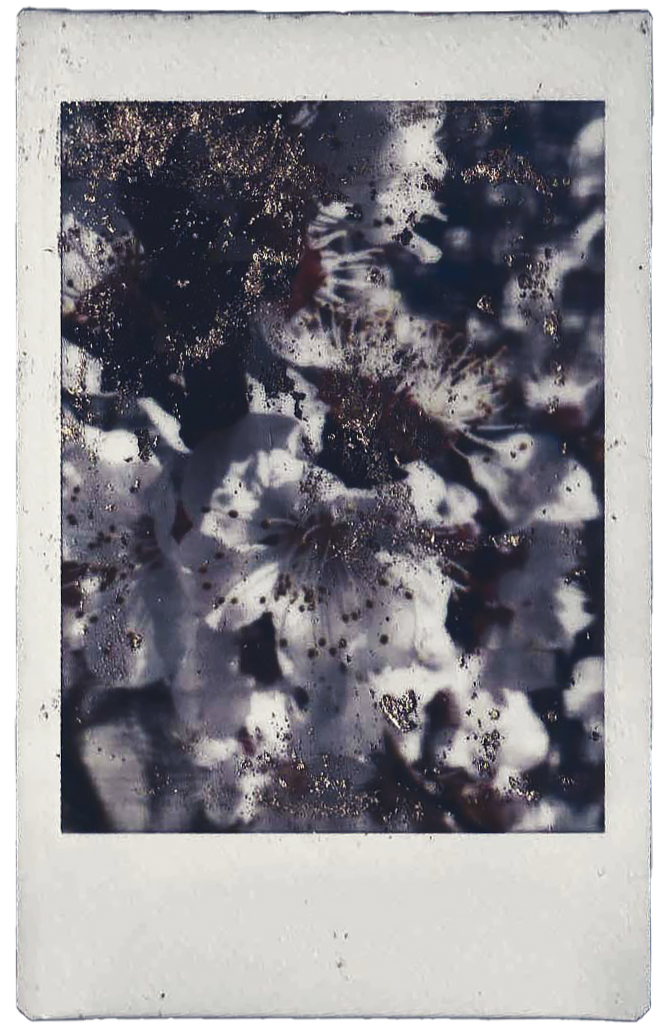 Distorted Polaroid, 2026