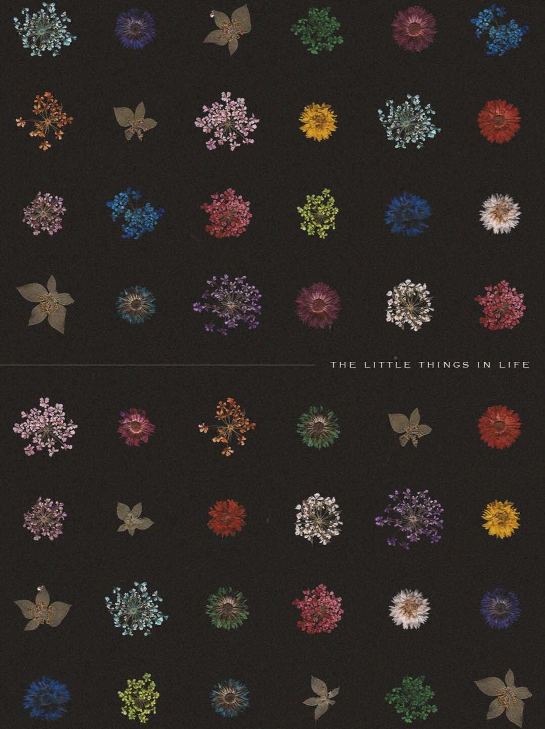 The Little Things, 2025