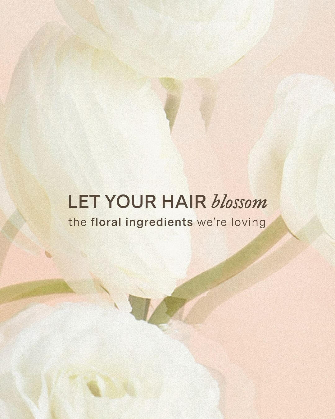 Organic Social Cover, Design + Photo Editing