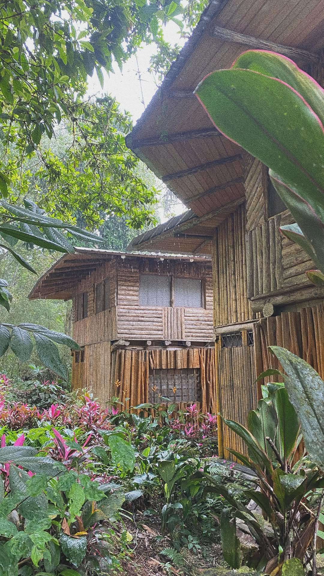 Organic Social, BTS Video Editing